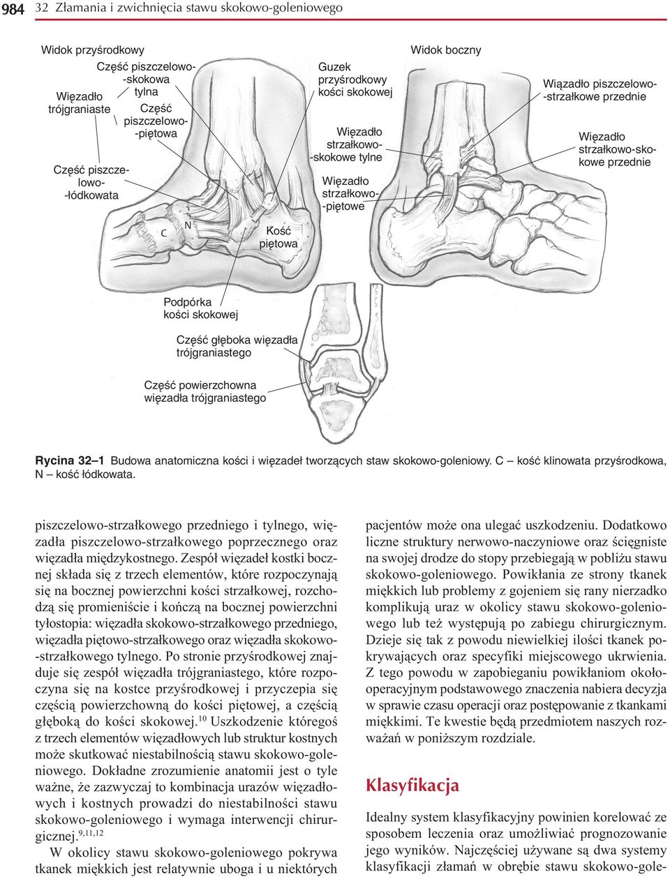 Podpórka kości skokowej Część głęboka więzadła trójgraniastego Część powierzchowna więzadła trójgraniastego Rycina 32 1 Budowa anatomiczna kości i więzadeł tworzących staw skokowo-goleniowy.