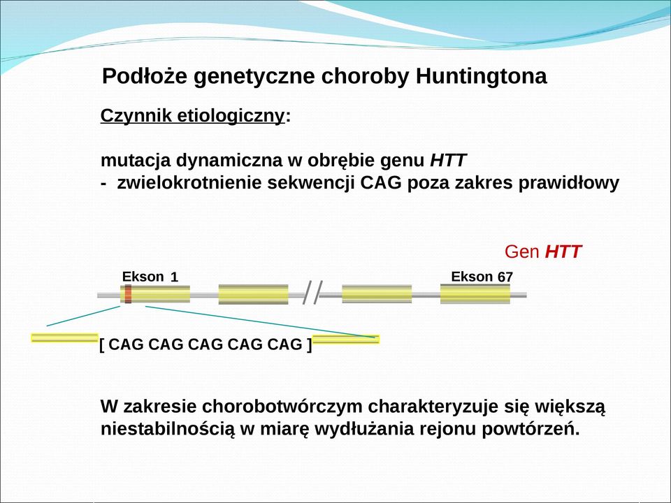 prawidłowy Ekson 1 Ekson 67 Gen HTT [ CAG CAG CAG CAG CAG ] W zakresie