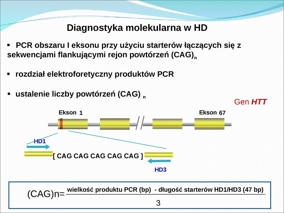 produktów PCR ustalenie liczby powtórzeń (CAG) n Ekson 1 Ekson 67 Gen HTT HD1 [ CAG