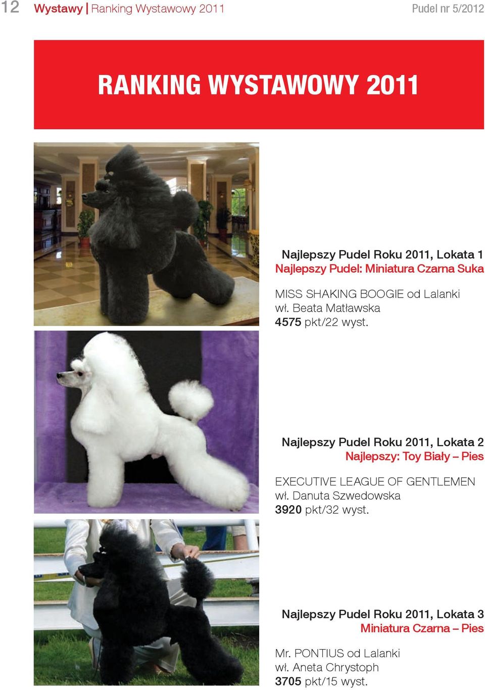 Najlepszy Pudel Roku 2011, Lokata 2 Najlepszy: Toy Biały Pies EXECUTIVE LEAGUE OF GENTLEMEN wł.