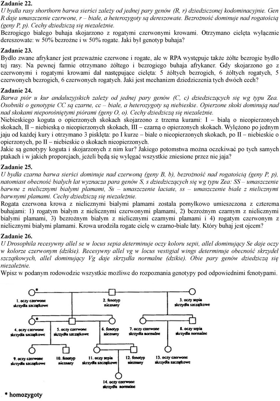 Otrzymano cielęta wyłącznie dereszowate: w 50% bezrożne i w 50% rogate. Jaki był genotyp buhaja? Zadanie 23.