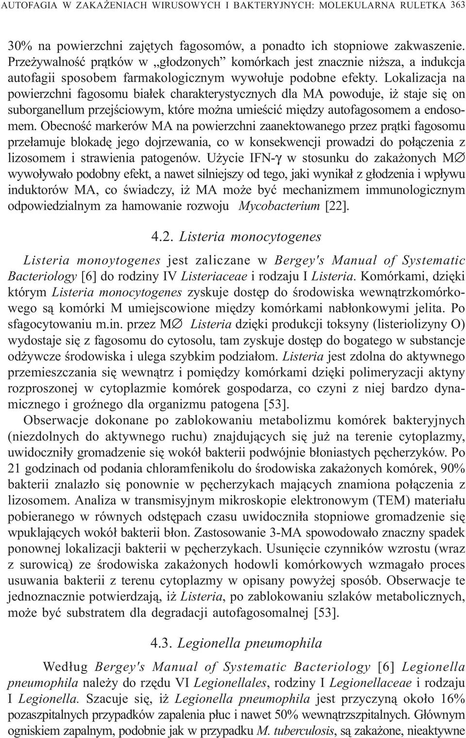 Lokalizacja na powierzchni fagosomu bia³ek charakterystycznych dla MA powoduje, i staje siê on suborganellum przejœciowym, które mo na umieœciæ miêdzy autofagosomem a endosomem.