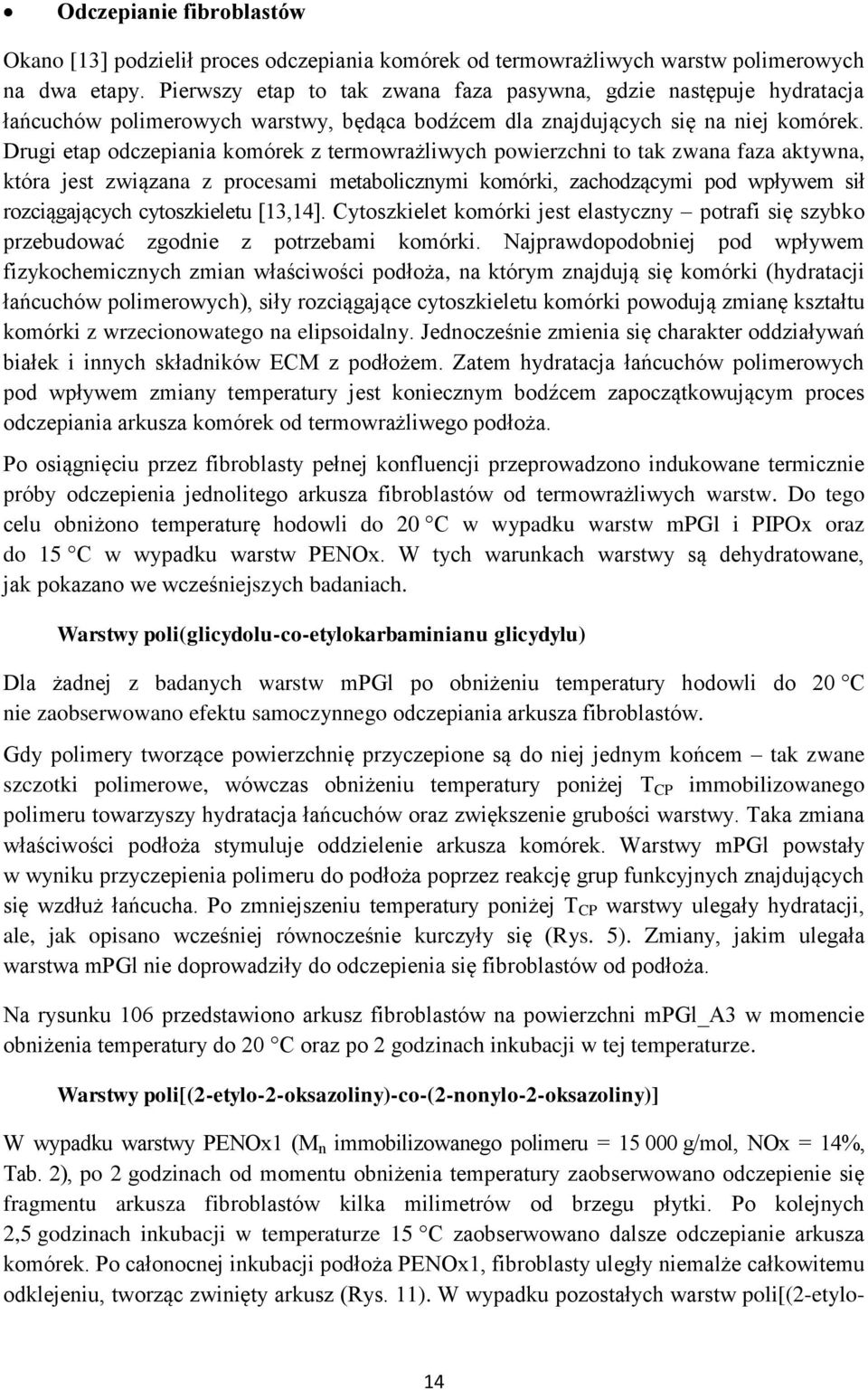 Drugi etap odczepiania komórek z termowrażliwych powierzchni to tak zwana faza aktywna, która jest związana z procesami metabolicznymi komórki, zachodzącymi pod wpływem sił rozciągających