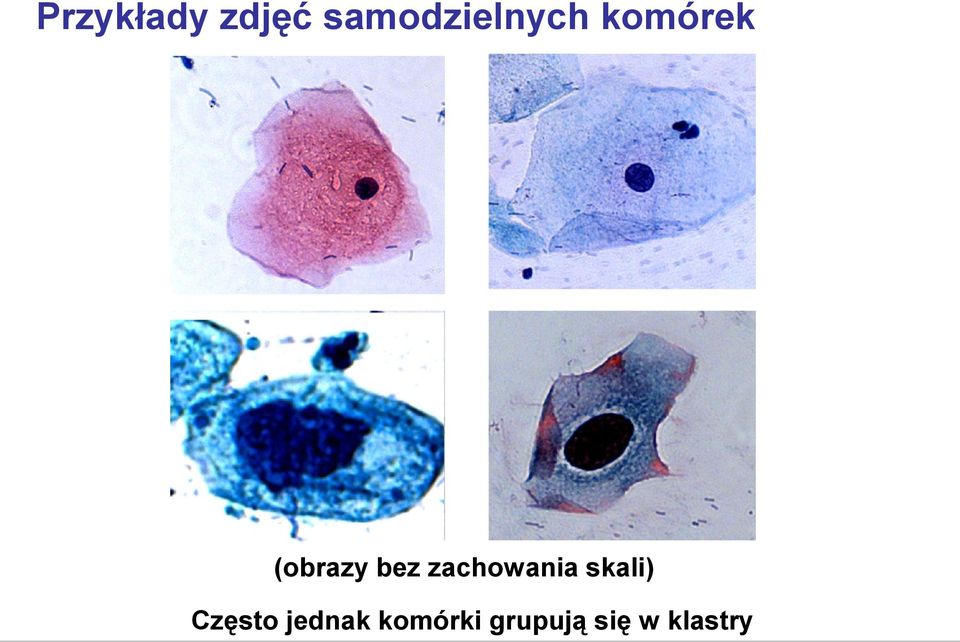 (obrazy bez zachowania