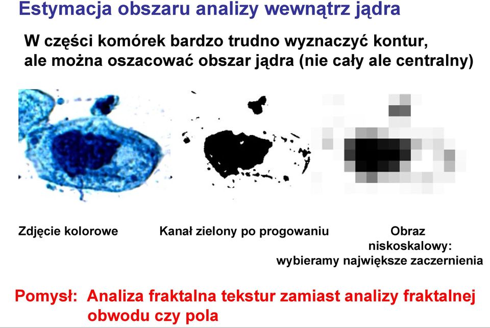 Zdjęcie kolorowe Kanał zielony po progowaniu Obraz niskoskalowy: wybieramy