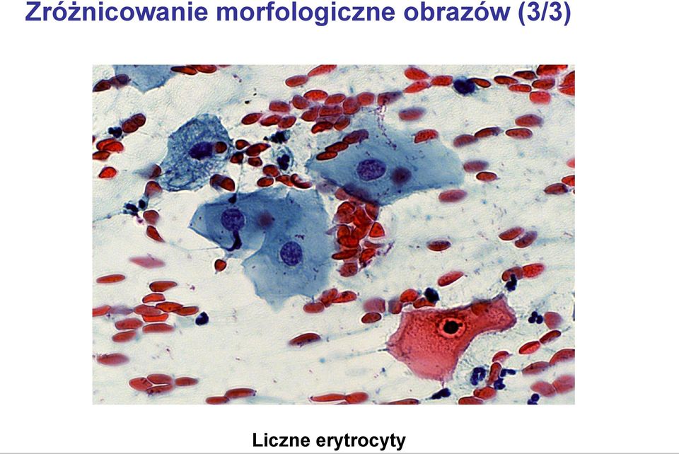 obrazów (3/3)