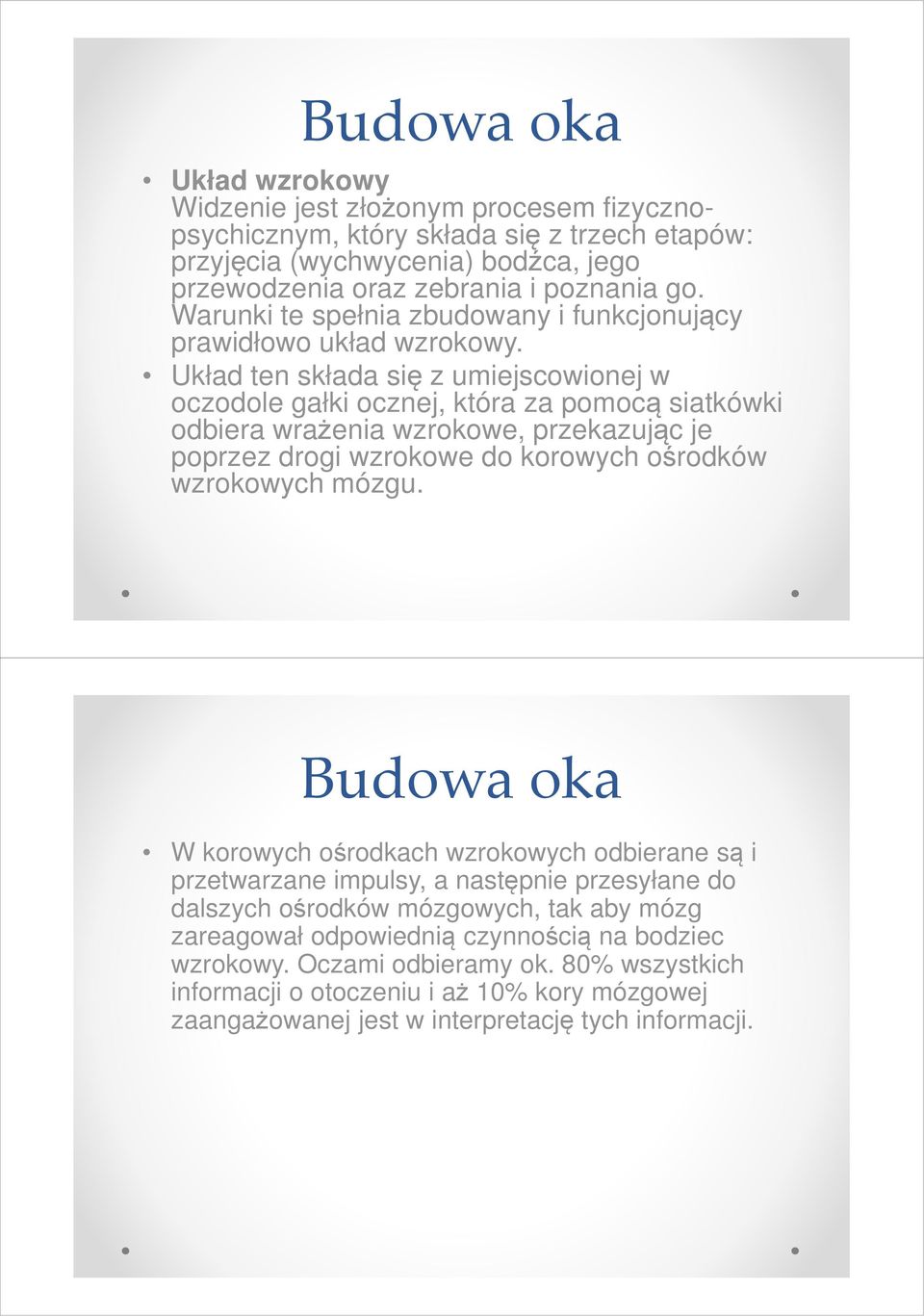 Układ ten składa się z umiejscowionej w oczodole gałki ocznej, która za pomocą siatkówki odbiera wrażenia wzrokowe, przekazując je poprzez drogi wzrokowe do korowych ośrodków wzrokowych mózgu.