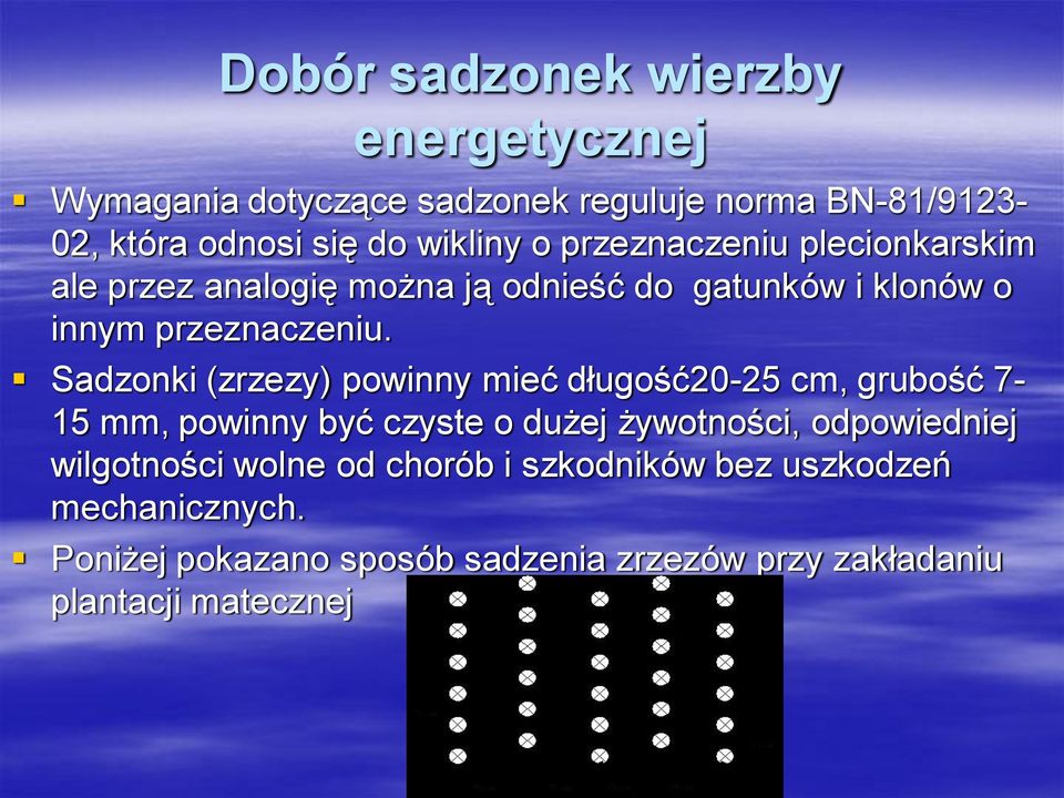 Sadzonki (zrzezy) powinny mieć długość20-25 cm, grubość 7-15 mm, powinny być czyste o dużej żywotności, odpowiedniej