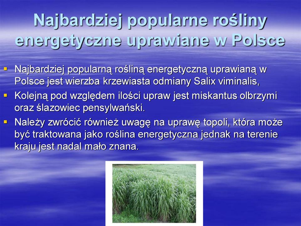ilości upraw jest miskantus olbrzymi oraz ślazowiec pensylwański.