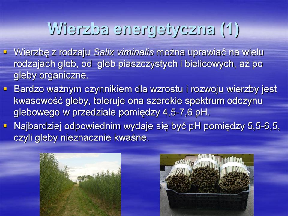 Bardzo ważnym czynnikiem dla wzrostu i rozwoju wierzby jest kwasowość gleby, toleruje ona szerokie