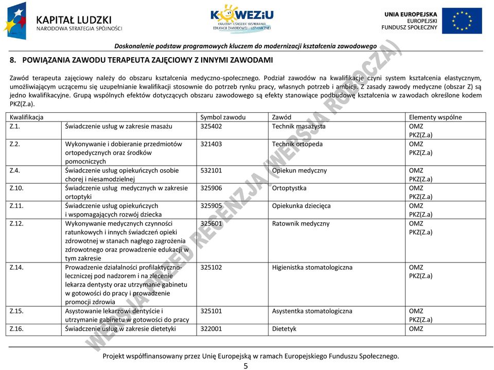 Z zasady zawody medyczne (obszar Z) są jedno kwalifikacyjne. Grupą wspólnych efektów dotyczących obszaru zawodowego są efekty stanowiące podbudowę kształcenia w zawodach określone kodem KZ(Z.a).