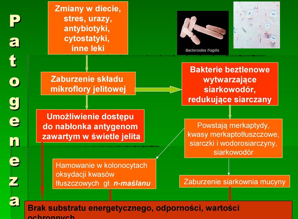 tłuszczowych gł.
