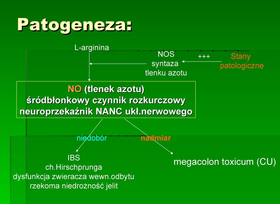 neuroprzekaźnik NANC ukł.nerwowego niedobór IBS ch.