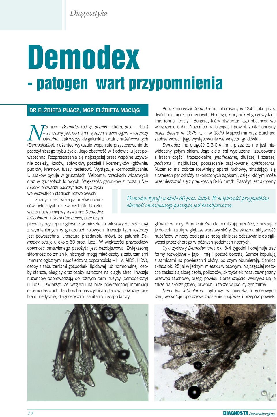 Rozprzestrzenia się najczęściej przez wspólne używanie odzieży, koców, śpiworów, pościeli i kosmetyków (głównie: pudrów, kremów, tuszy, testerów). Występuje kosmopolitycznie.