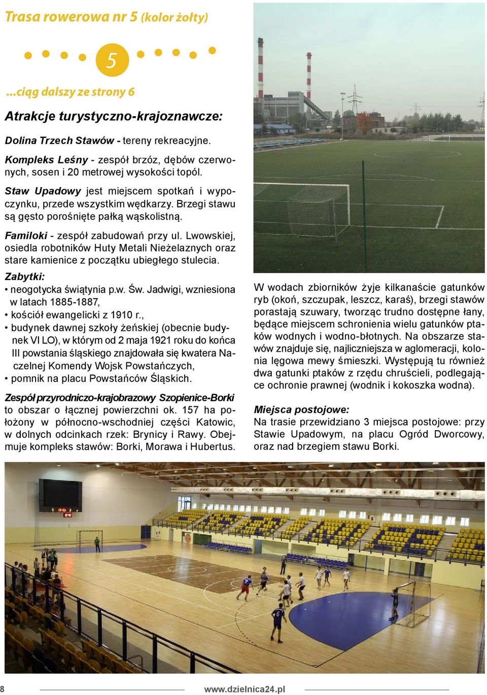 Brzegi stawu są gęsto porośnięte pałką wąskolistną. Familoki - zespół zabudowań przy ul. Lwowskiej, osiedla robotników Huty Metali Nieżelaznych oraz stare kamienice z początku ubiegłego stulecia.