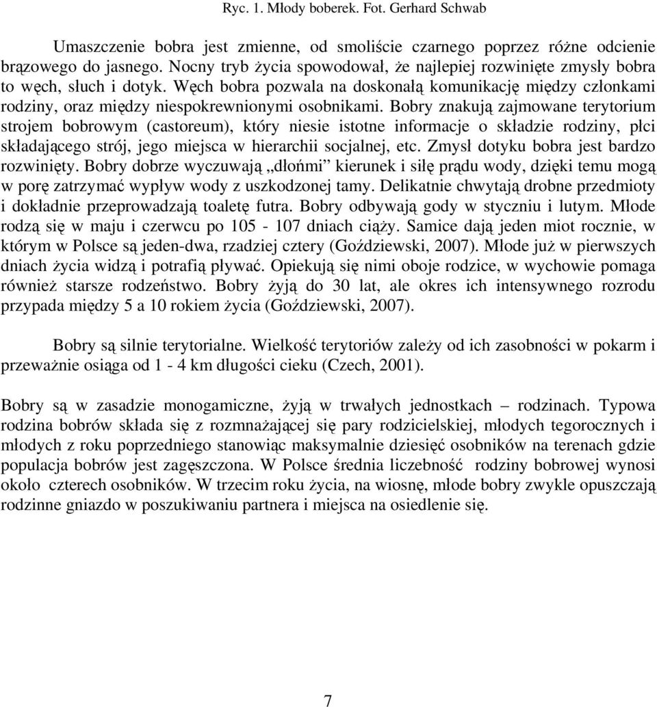 Węch bobra pozwala na doskonałą komunikację między członkami rodziny, oraz między niespokrewnionymi osobnikami.