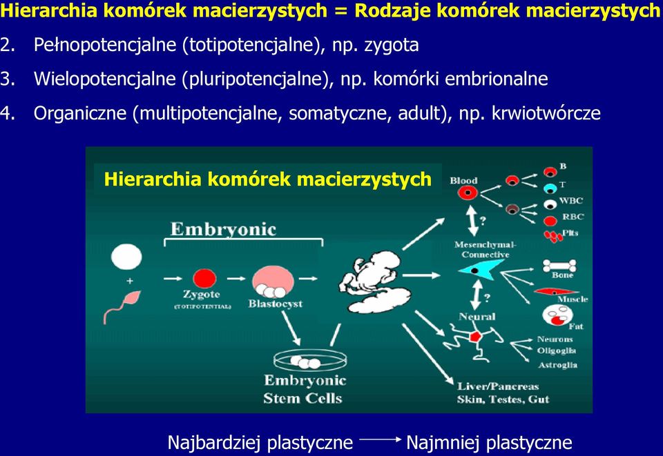 Wielopotencjalne (pluripotencjalne), np. komórki embrionalne 4.