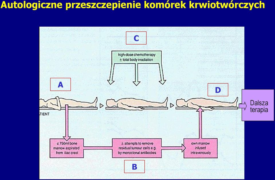 komórek