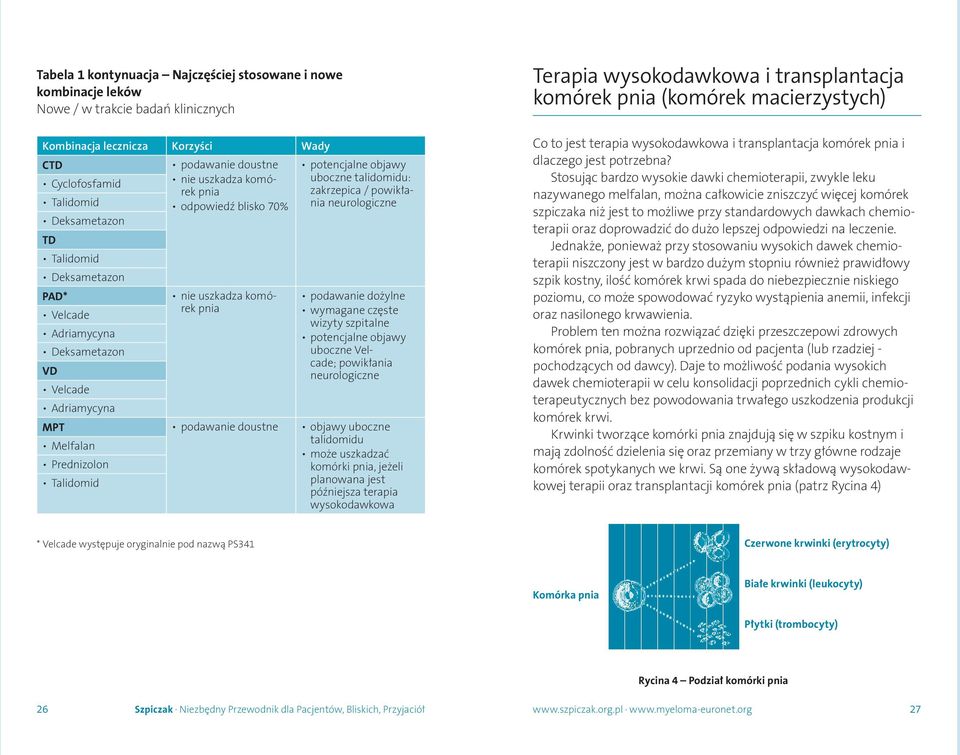 pnia Velcade wymagane częste wizyty szpitalne Adriamycyna potencjalne objawy Deksametazon uboczne Velcade; powikłania VD neurologiczne Velcade Adriamycyna MPT podawanie doustne objawy uboczne