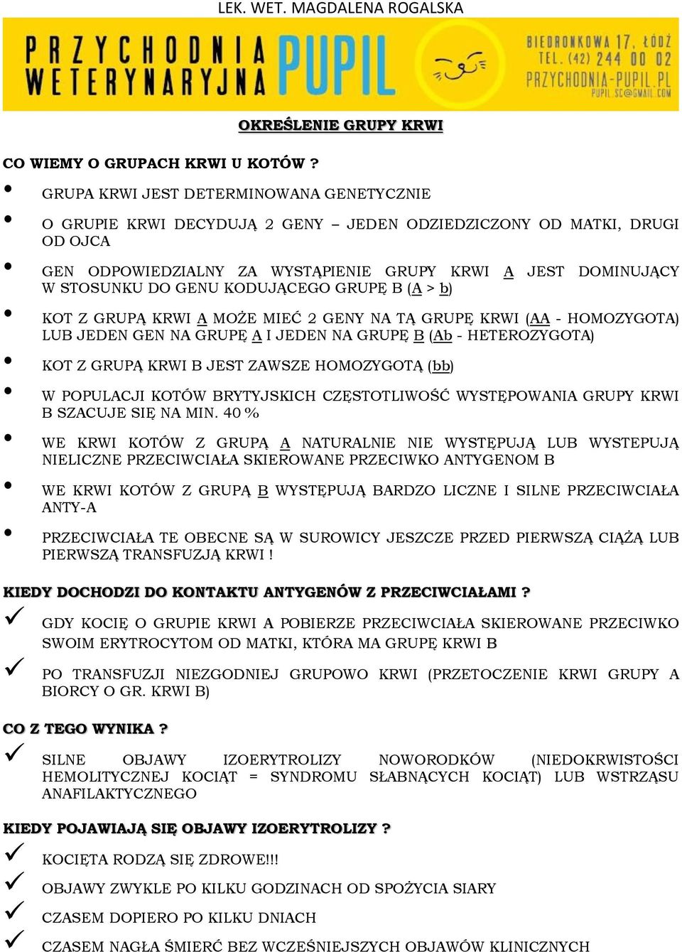 KODUJĄCEGO GRUPĘ B (A > b) KOT Z GRUPĄ KRWI A MOŻE MIEĆ 2 GENY NA TĄ GRUPĘ KRWI (AA - HOMOZYGOTA) LUB JEDEN GEN NA GRUPĘ A I JEDEN NA GRUPĘ B (Ab - HETEROZYGOTA) KOT Z GRUPĄ KRWI B JEST ZAWSZE