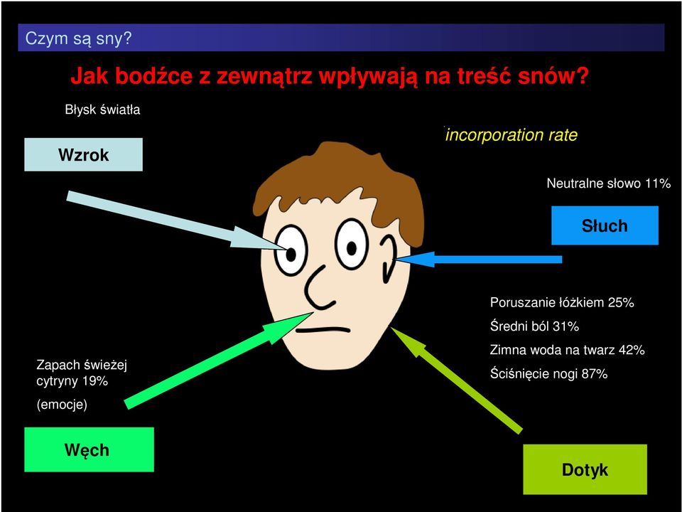 Słuch Poruszanie łóżkiem 25% Zapach świeżej cytryny 19%