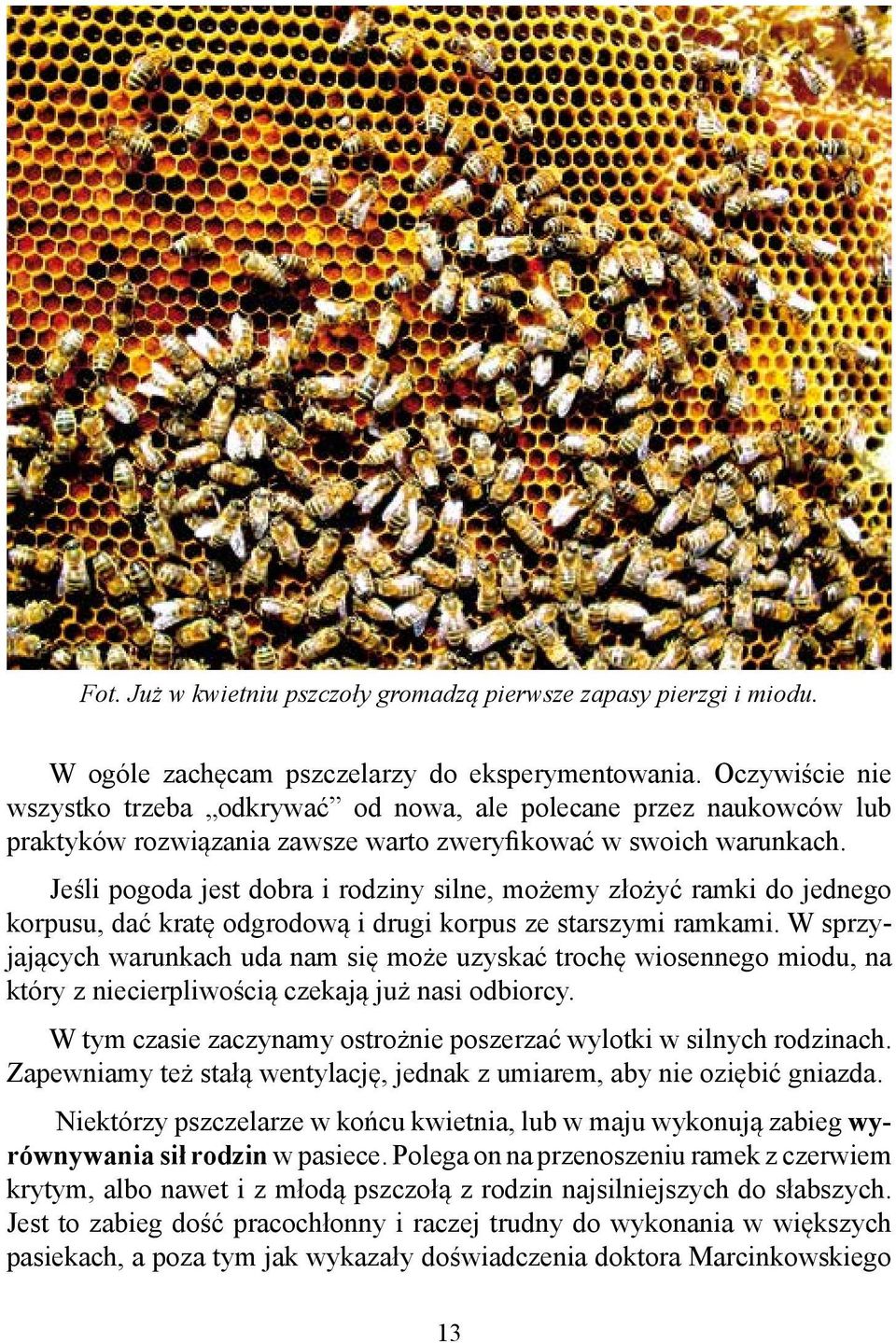 Jeśli pogoda jest dobra i rodziny silne, możemy złożyć ramki do jednego korpusu, dać kratę odgrodową i drugi korpus ze starszymi ramkami.