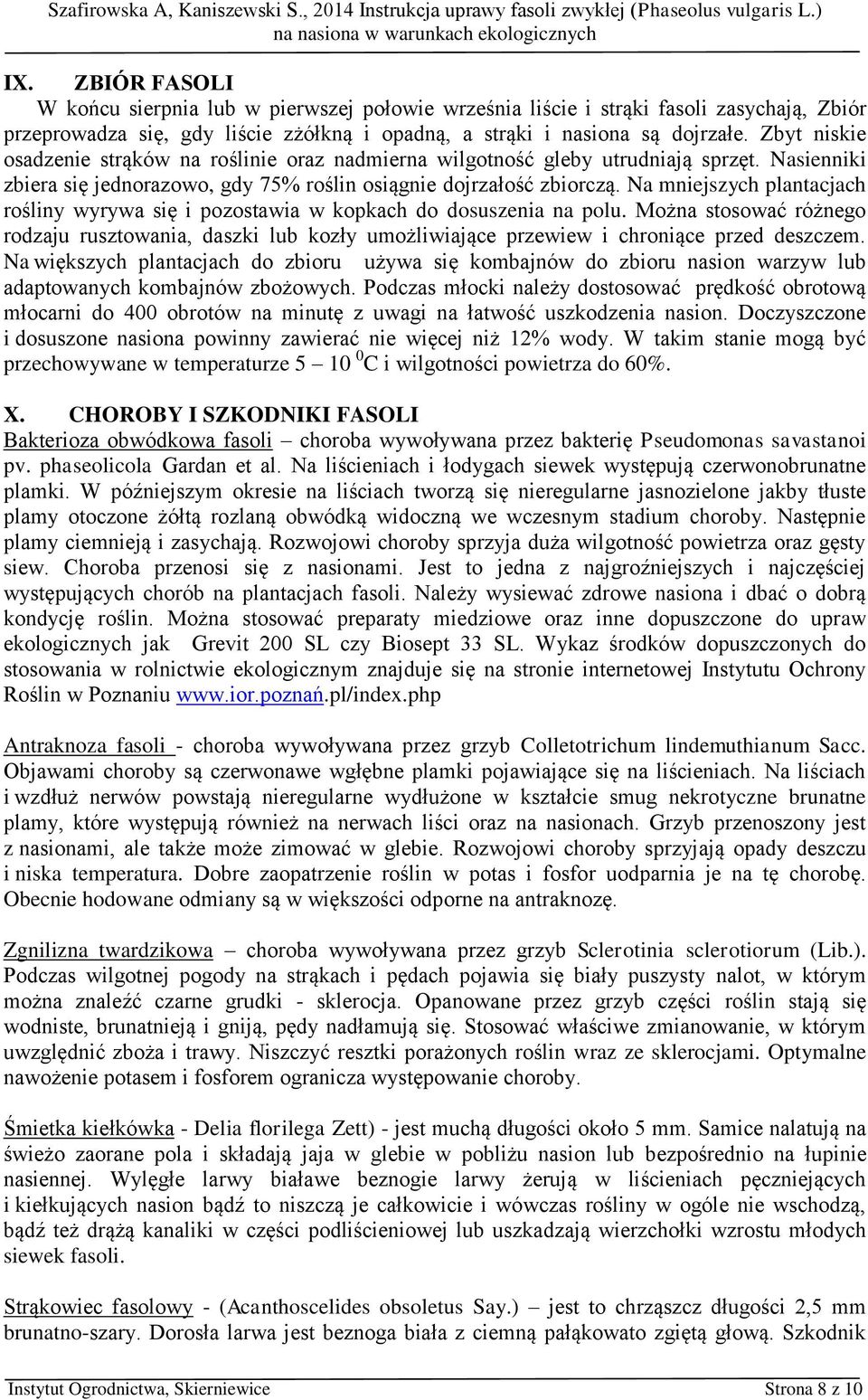 Na mniejszych plantacjach rośliny wyrywa się i pozostawia w kopkach do dosuszenia na polu.