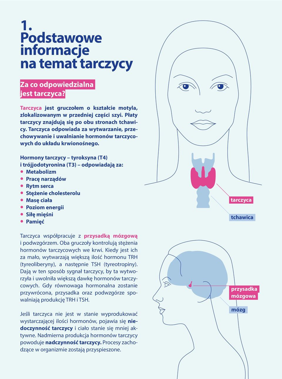 Hormony tarczycy tyroksyna (T4) i trójjodotyronina (T3) odpowiadają za: Metabolizm Pracę narządów Rytm serca Stężenie cholesterolu Masę ciała Poziom energii Siłę mięśni Pamięć Tarczyca współpracuje z