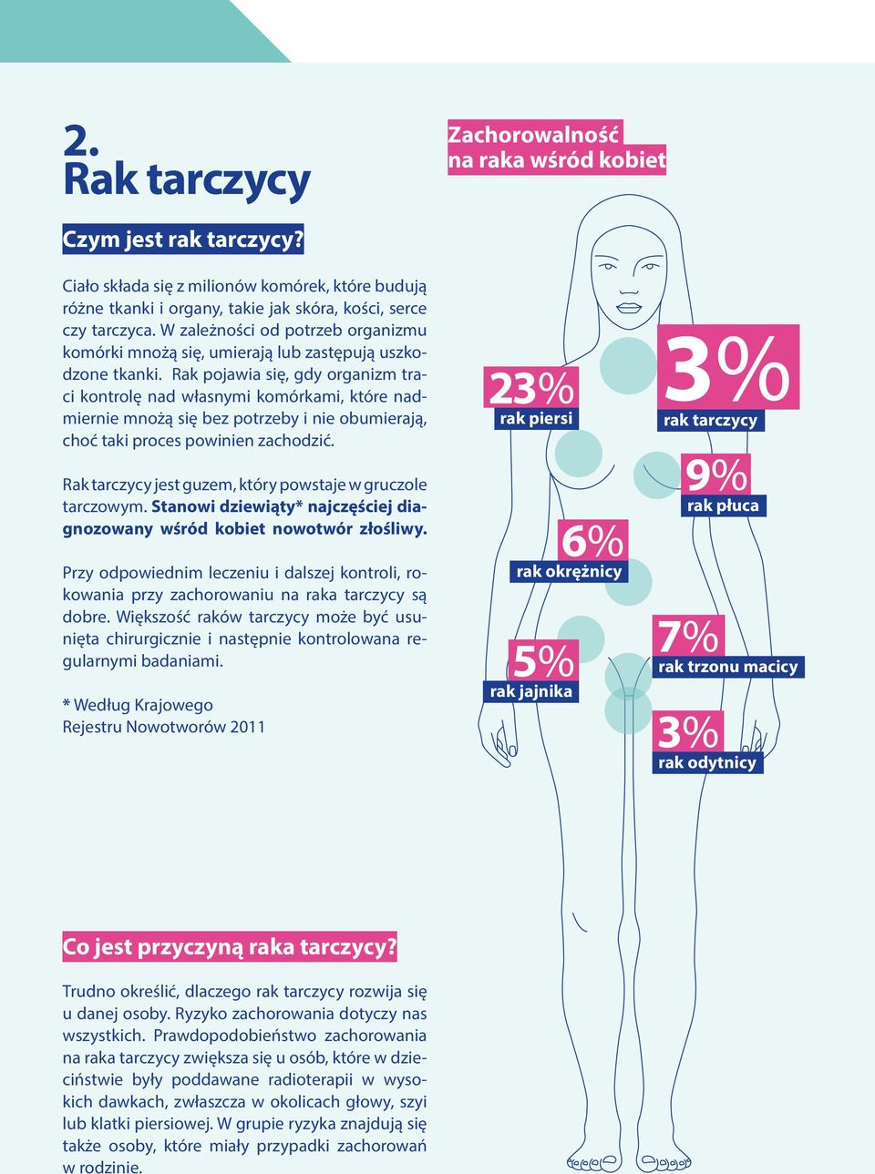 Rak pojawia się, gdy organizm traci kontrolę nad własnymi komórkami, które nadmiernie mnożą się bez potrzeby i nie obumierają, choć taki proces powinien zachodzić.