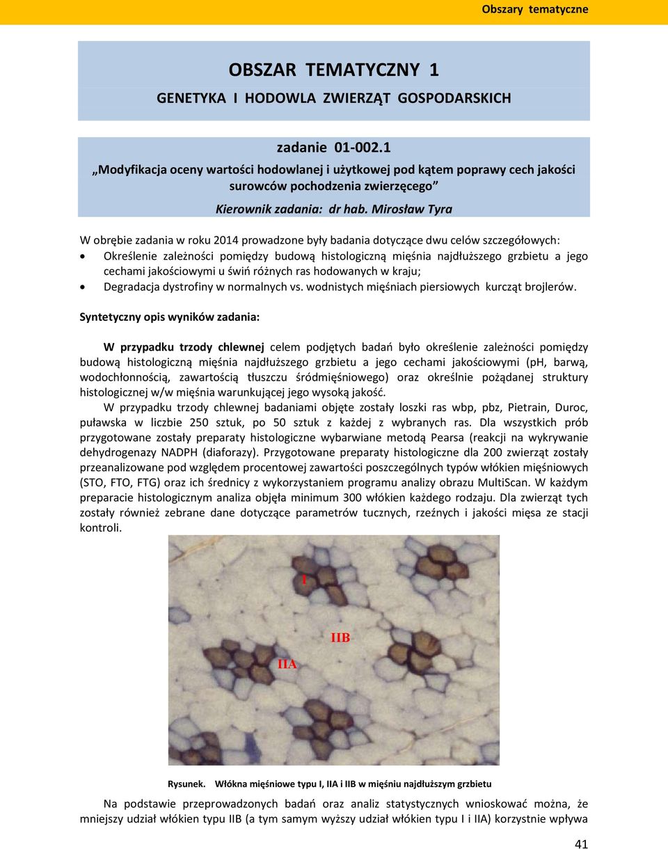 Mirosław Tyra W obrębie zadania w roku 2014 prowadzone były badania dotyczące dwu celów szczegółowych: Określenie zależności pomiędzy budową histologiczną mięśnia najdłuższego grzbietu a jego cechami