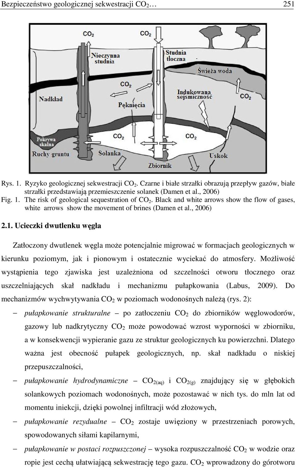Black and white arrows show the flow of gases, white arrows show the movement of brines (Damen et al., 2006) 2.1.