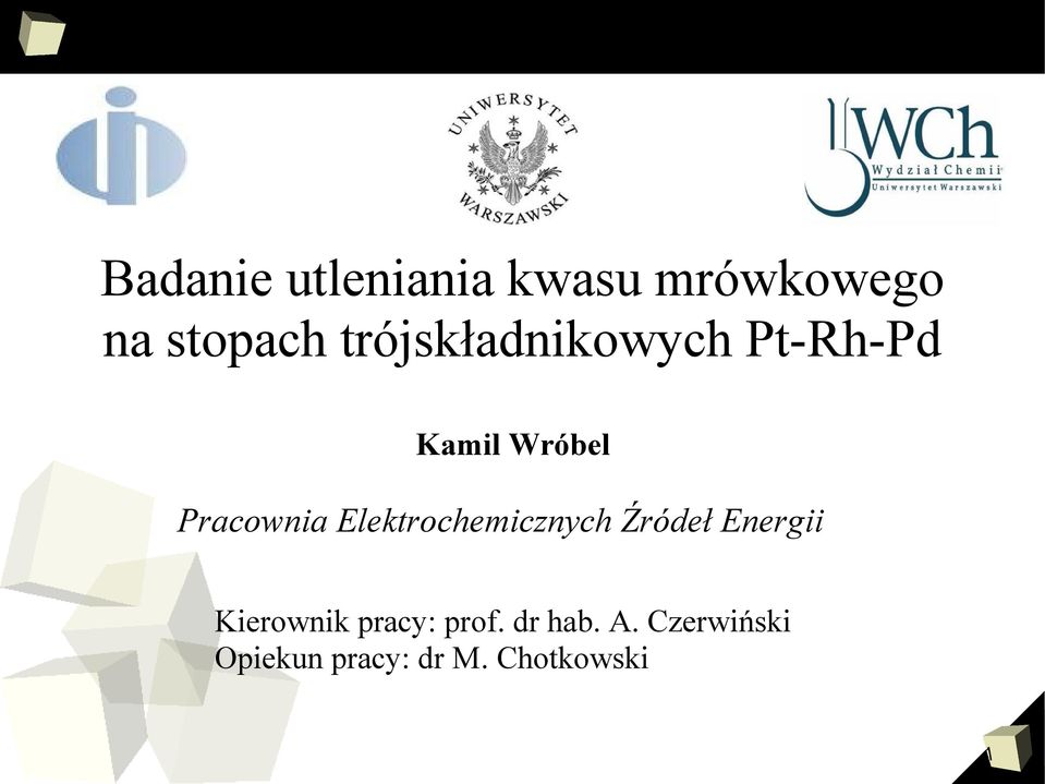 Elektrochemicznych Źródeł Energii Kierownik pracy: