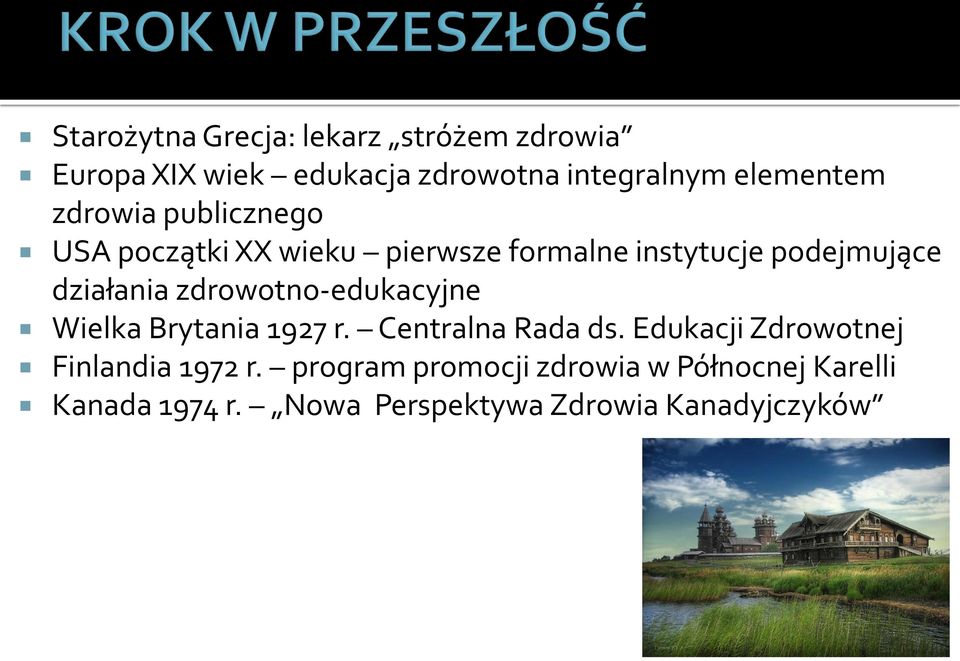 działania zdrowotno-edukacyjne Wielka Brytania 1927 r. Centralna Rada ds.