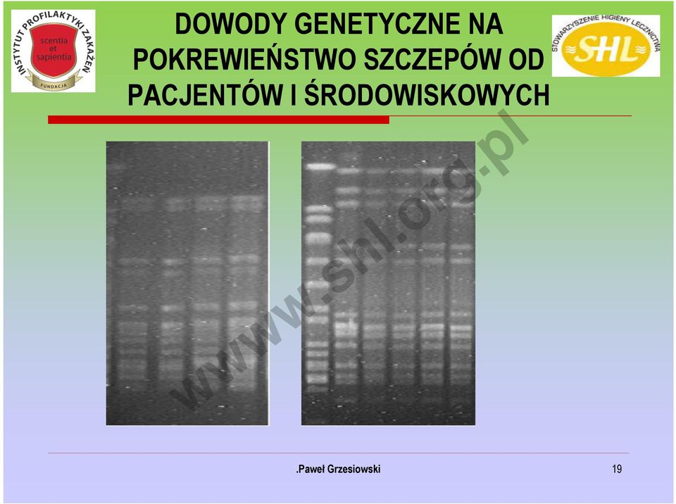 SZCZEPÓW OD