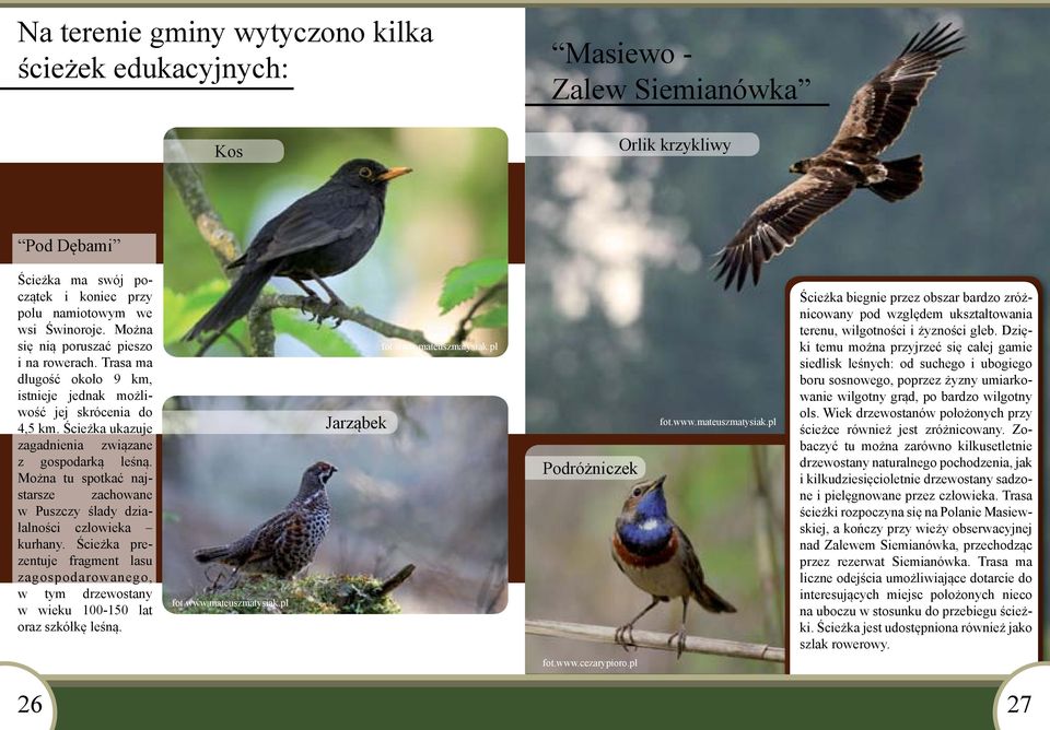 Można tu spotkać najstarsze zachowane w Puszczy ślady działalności człowieka kurhany. Ścieżka prezentuje fragment lasu zagospodarowanego, w tym drzewostany w wieku 100-150 lat oraz szkółkę leśną.