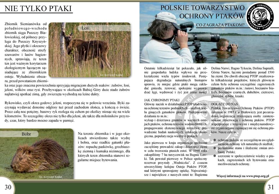Krzysztof Krahel ostoje. Wyludnienie obszaru, przed powstaniem zbiornika oraz jego znaczna powierzchnia sprzyjają migracjom dużych ssaków: żubrów, łosi, jeleni, wilków oraz rysi.
