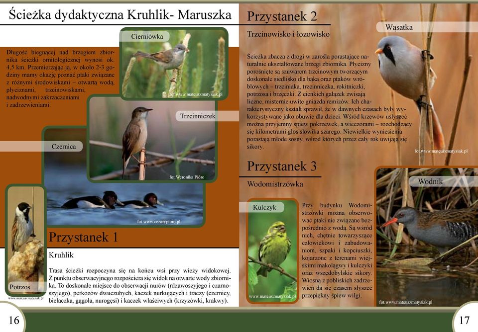 Czernica Trzcinniczek fot.weronika Pióro Ścieżka zbacza z drogi w zarośla porastające naturalnie ukształtowane brzegi zbiornika.