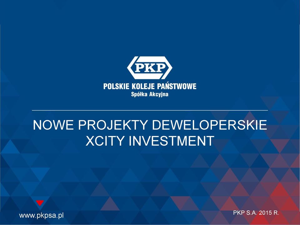 XCITY INVESTMENT