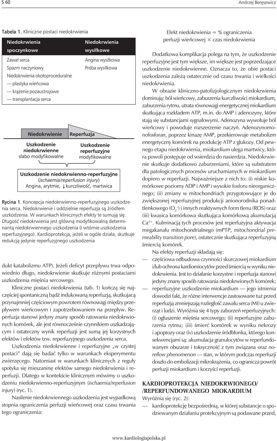 wysiłkowe Angina wysiłkowa Próba wysiłkowa Rycina 1. Koncepcja niedokrwienno-reperfuzyjnego uszkodzenia serca. Niedokrwienie i oddzielnie reperfuzja są źródłem uszkodzenia.