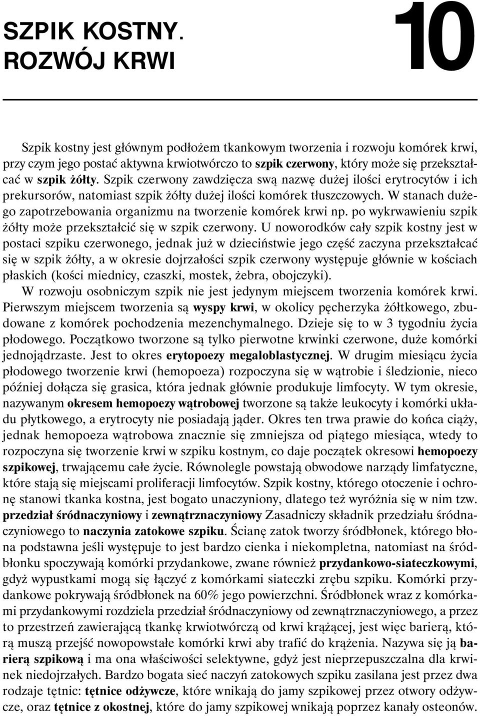 Szpik czerwony zawdzięcza swą nazwę dużej ilości erytrocytów i ich prekursorów, natomiast szpik żółty dużej ilości komórek tłuszczowych.