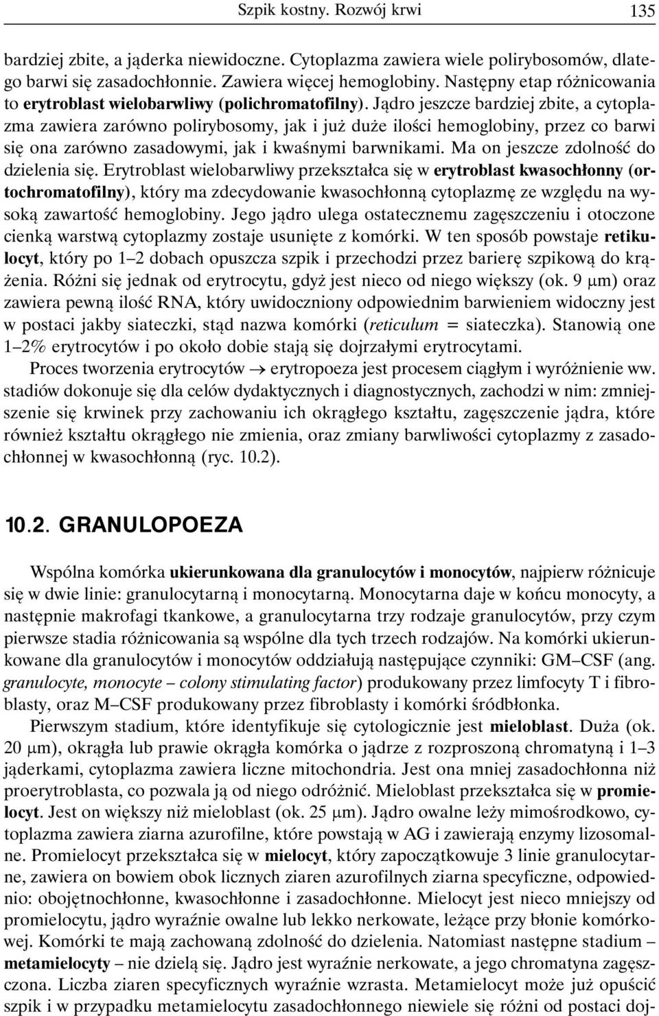 Jądro jeszcze bardziej zbite, a cytoplazma zawiera zarówno polirybosomy, jak i już duże ilości hemoglobiny, przez co barwi się ona zarówno zasadowymi, jak i kwaśnymi barwnikami.