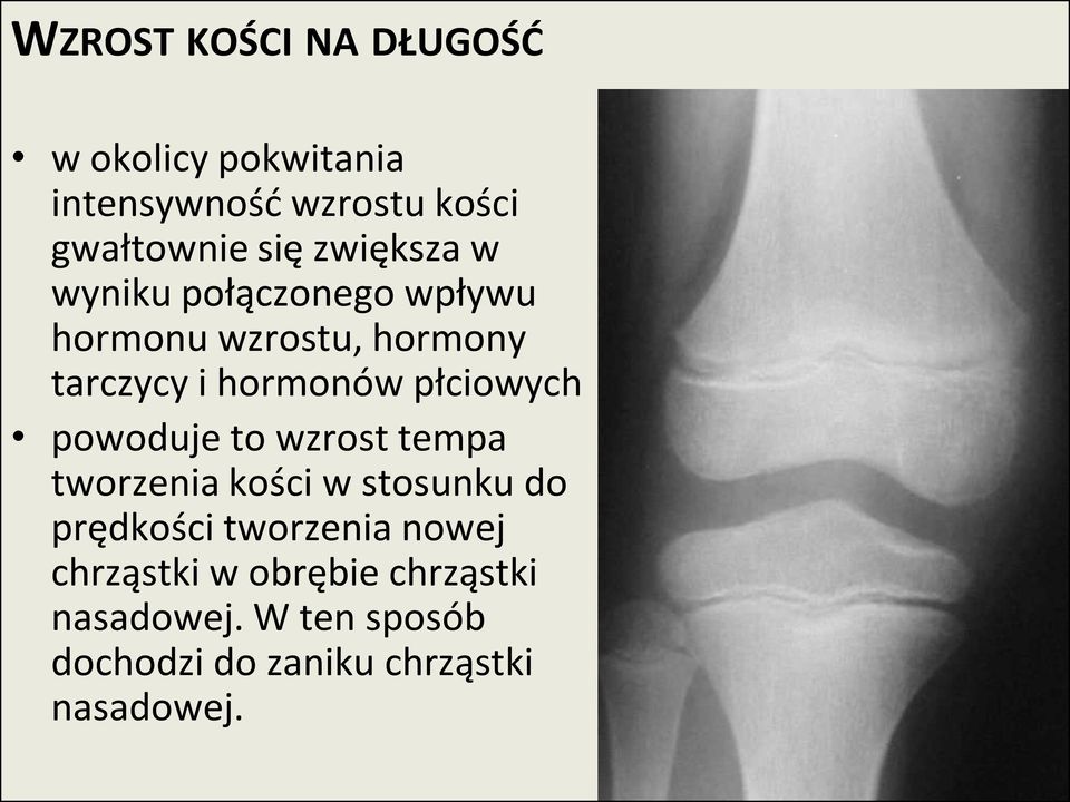 płciowych powoduje to wzrost tempa tworzenia kości w stosunku do prędkości tworzenia