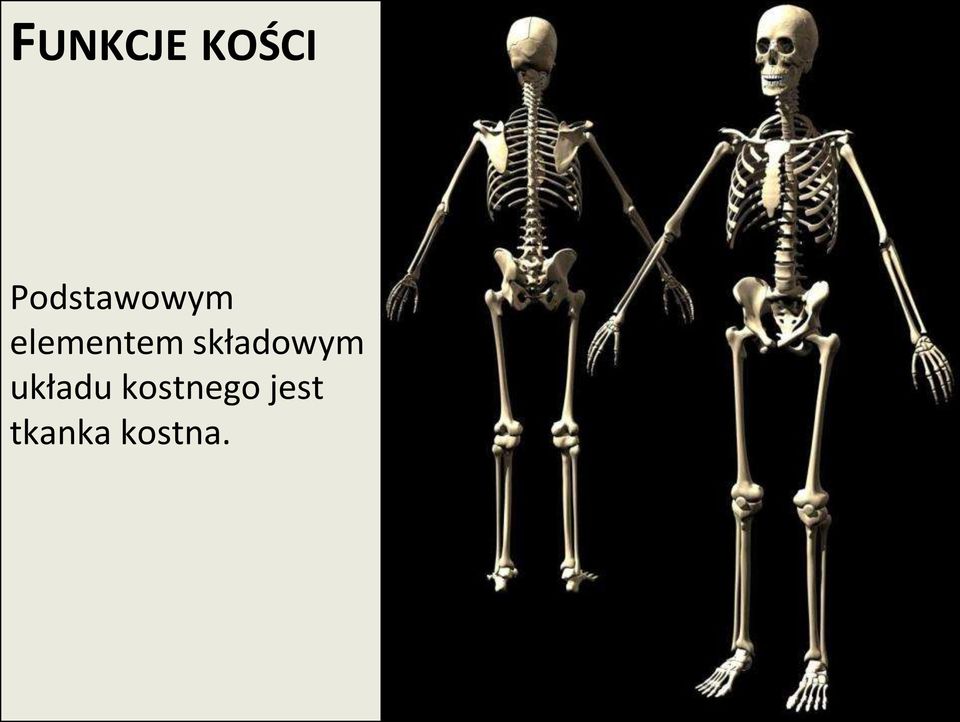 elementem składowym