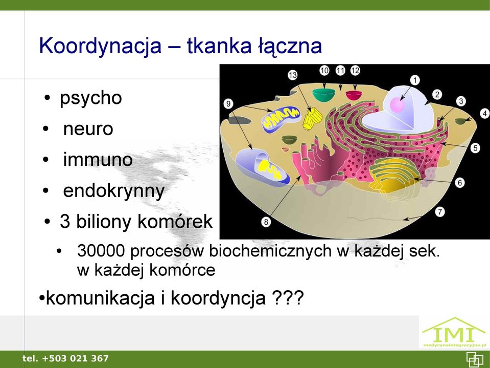 30000 procesów biochemicznych w każdej
