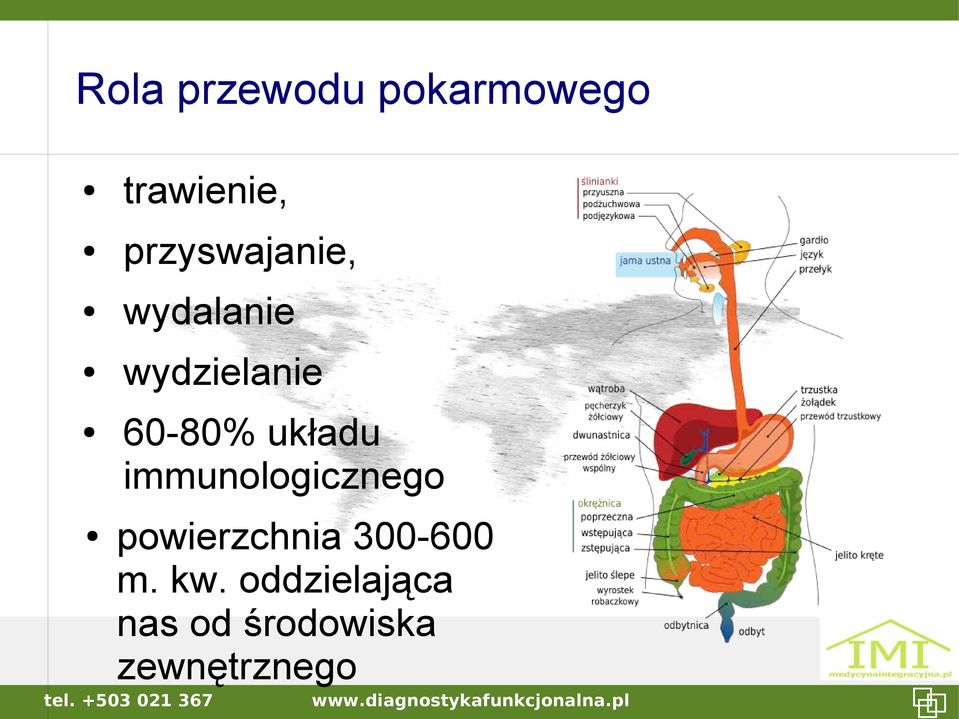 układu immunologicznego powierzchnia