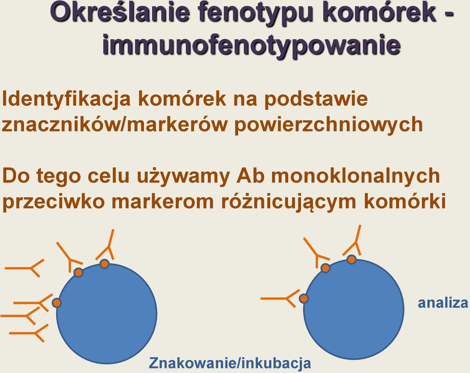 powierzchniowych Do tego celu używamy Ab monoklonalnych