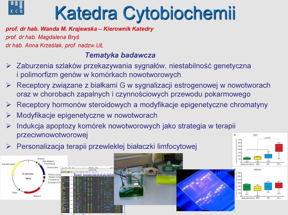 G w sygnalizacji estrogenowej w nowotworach oraz w chorobach zapalnych i czynnościowych przewodu pokarmowego Receptory hormonów steroidowych a modyfikacje