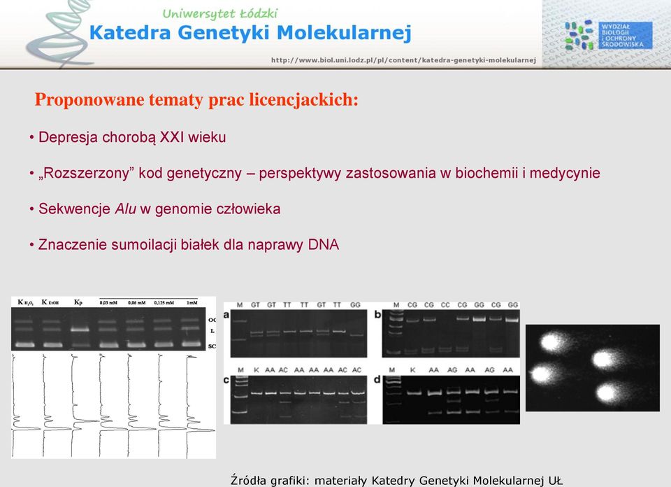 medycynie Sekwencje Alu w genomie człowieka Znaczenie sumoilacji