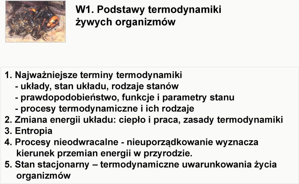 parametry stanu - procesy termodynamiczne i ich rodzaje 2.