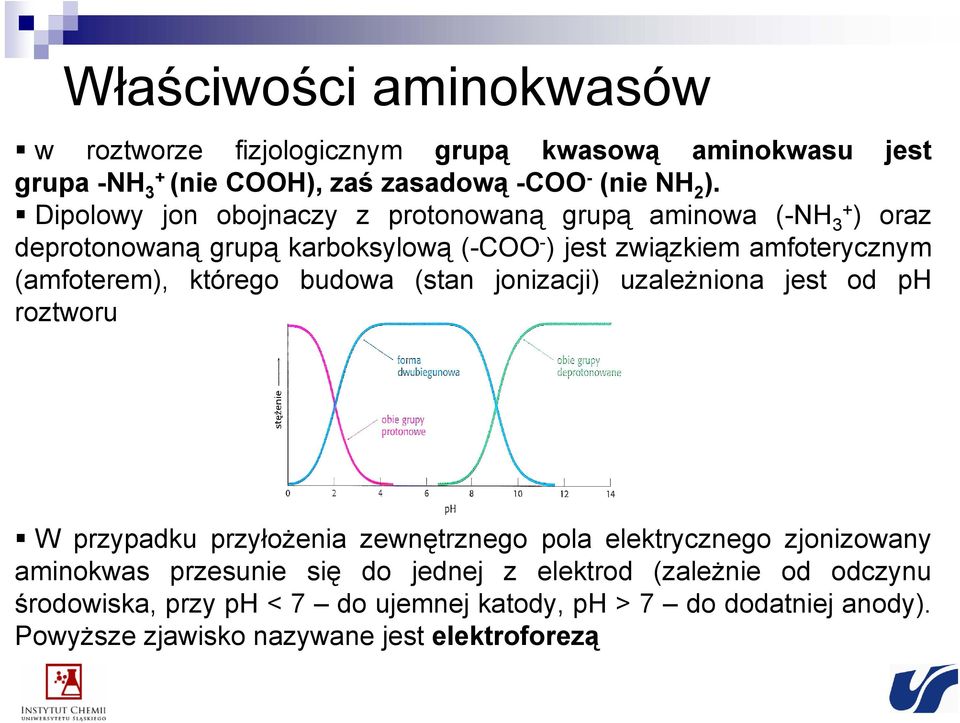 którego budowa (stan jonizacji) uzależniona jest od p roztworu W przypadku przyłożenia zewnętrznego pola elektrycznego zjonizowany aminokwas